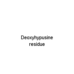 Deoxyhypusine residue